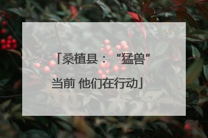 桑植县：“猛兽”当前 他们在行动