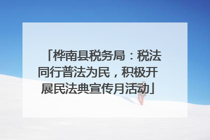 桦南县税务局：税法同行普法为民，积极开展民法典宣传月活动