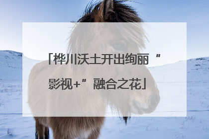 桦川沃土开出绚丽“影视+”融合之花