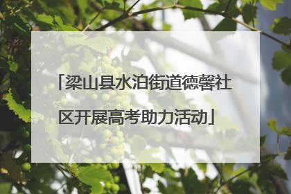 梁山县水泊街道德馨社区开展高考助力活动