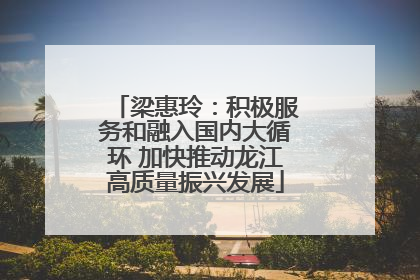 梁惠玲：积极服务和融入国内大循环 加快推动龙江高质量振兴发展