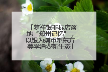 梦祥银非标店落地“郑州记忆”，以银为媒重塑东方美学消费新生态