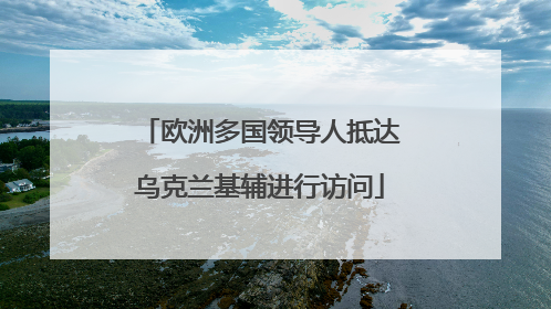 欧洲多国领导人抵达乌克兰基辅进行访问