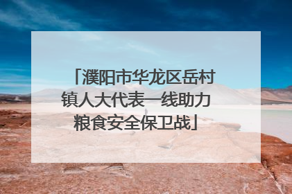 濮阳市华龙区岳村镇人大代表一线助力粮食安全保卫战