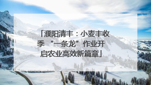 濮阳清丰：小麦丰收季 “一条龙”作业开启农业高效新篇章