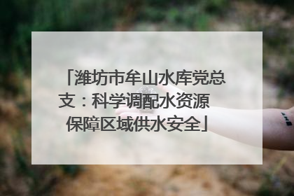 潍坊市牟山水库党总支：科学调配水资源 保障区域供水安全