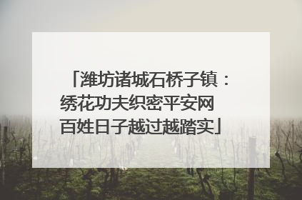 潍坊诸城石桥子镇：绣花功夫织密平安网 百姓日子越过越踏实