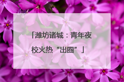 潍坊诸城：青年夜校火热“出圈”