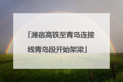 潍宿高铁至青岛连接线青岛段开始架梁