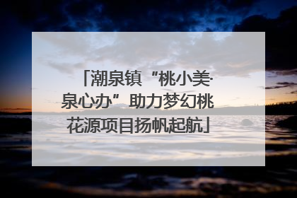 潮泉镇“桃小美·泉心办”助力梦幻桃花源项目扬帆起航