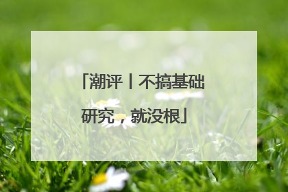 潮评丨不搞基础研究，就没根