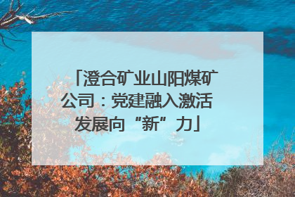 澄合矿业山阳煤矿公司：党建融入激活发展向“新”力