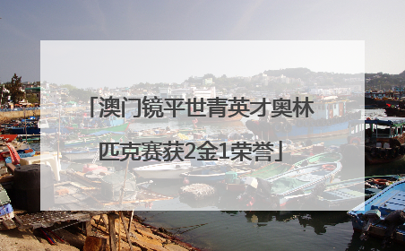 澳门镜平世青英才奥林匹克赛获2金1荣誉
