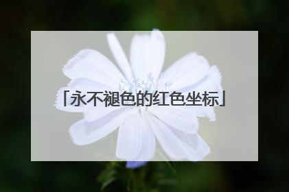 永不褪色的红色坐标