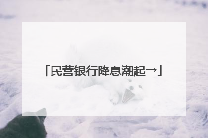 民营银行降息潮起→