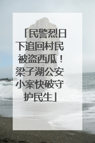 民警烈日下追回村民被盗西瓜！梁子湖公安小案快破守护民生