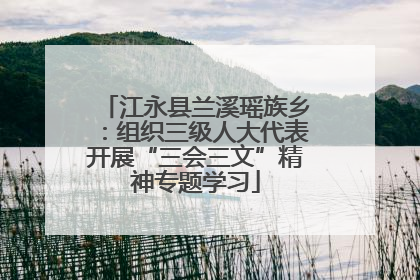 江永县兰溪瑶族乡：组织三级人大代表开展“三会三文”精神专题学习