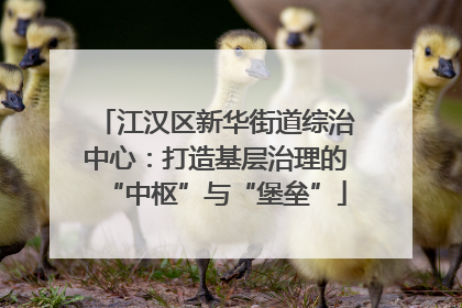 江汉区新华街道综治中心：打造基层治理的“中枢”与“堡垒”