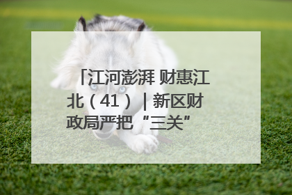 江河澎湃 财惠江北（41）｜新区财政局严把“三关” 绘就“良田美景”