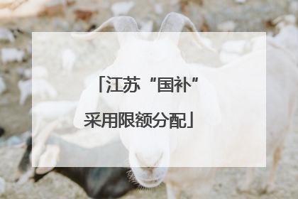 江苏“国补”采用限额分配