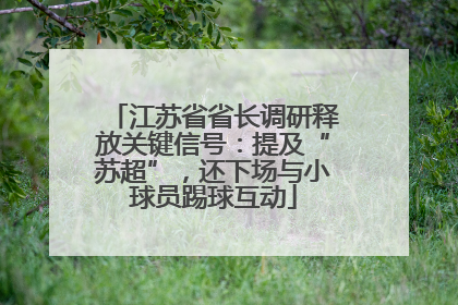 江苏省省长调研释放关键信号：提及“苏超”，还下场与小球员踢球互动