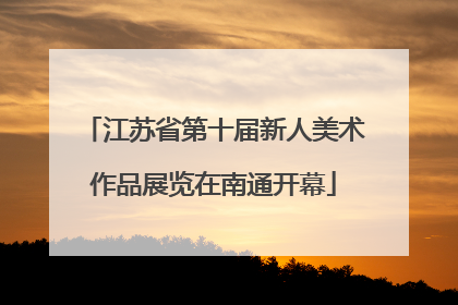 江苏省第十届新人美术作品展览在南通开幕