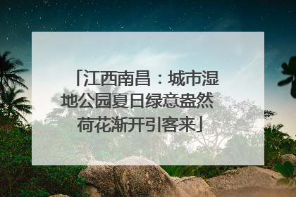 江西南昌：城市湿地公园夏日绿意盎然 荷花渐开引客来