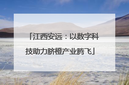 江西安远：以数字科技助力脐橙产业腾飞