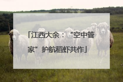 江西大余：“空中管家”护航稻虾共作
