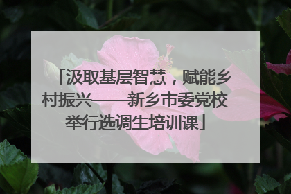 汲取基层智慧，赋能乡村振兴——新乡市委党校举行选调生培训课