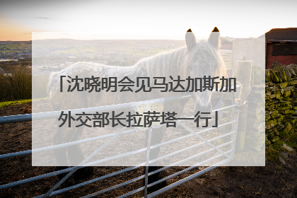 沈晓明会见马达加斯加外交部长拉萨塔一行