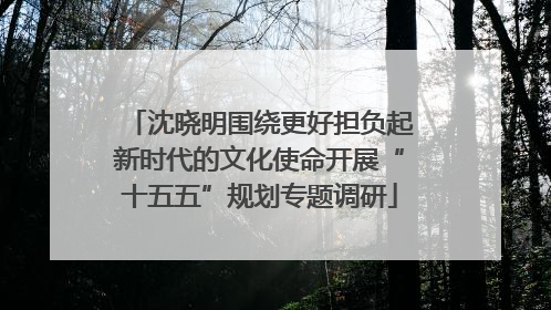 沈晓明围绕更好担负起新时代的文化使命开展“十五五”规划专题调研