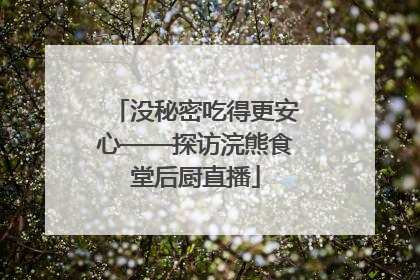 没秘密吃得更安心——探访浣熊食堂后厨直播