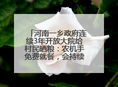 河南一乡政府连续3年开放大院给村民晒粮：农机手免费就餐，会持续开放到麦收结束