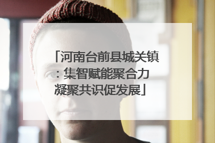 河南台前县城关镇：集智赋能聚合力 凝聚共识促发展