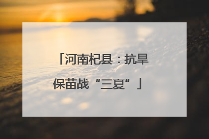 河南杞县：抗旱保苗战“三夏”
