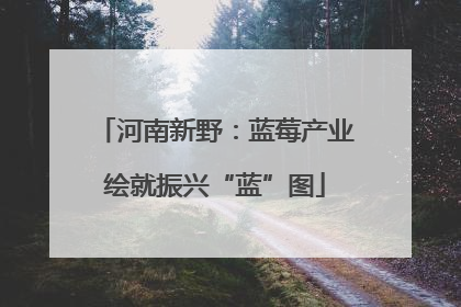 河南新野：蓝莓产业绘就振兴“蓝”图