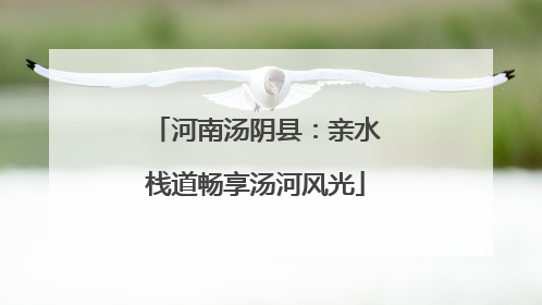 河南汤阴县：亲水栈道畅享汤河风光
