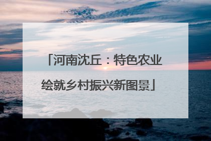 河南沈丘：特色农业绘就乡村振兴新图景