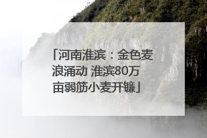 河南淮滨：金色麦浪涌动 淮滨80万亩弱筋小麦开镰