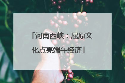 河南西峡：屈原文化点亮端午经济