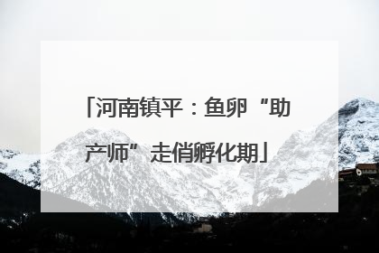 河南镇平：鱼卵“助产师”走俏孵化期