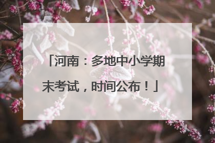 河南：多地中小学期末考试，时间公布！