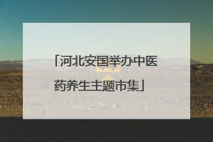 河北安国举办中医药养生主题市集