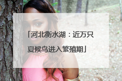 河北衡水湖：近万只夏候鸟进入繁殖期