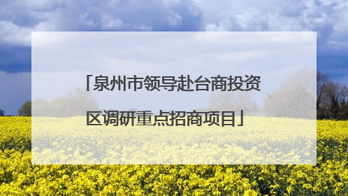 泉州市领导赴台商投资区调研重点招商项目