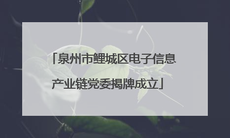 泉州市鲤城区电子信息产业链党委揭牌成立