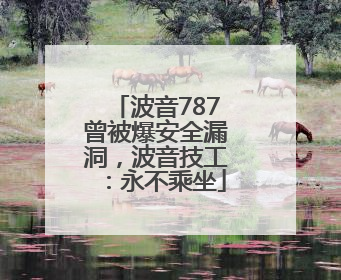 波音787曾被爆安全漏洞，波音技工：永不乘坐