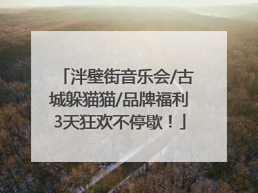 泮壁街音乐会/古城躲猫猫/品牌福利3天狂欢不停歇！