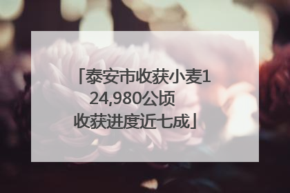泰安市收获小麦124,980公顷 收获进度近七成